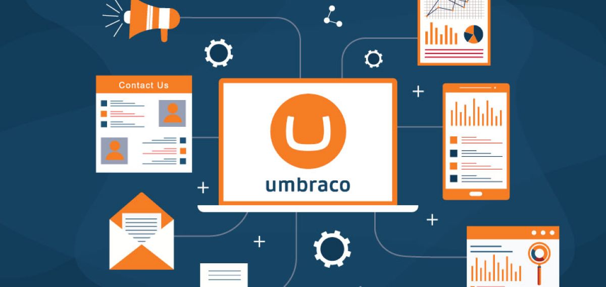 Top 5 Skills to Look for in an Expert Umbraco developer Sydney