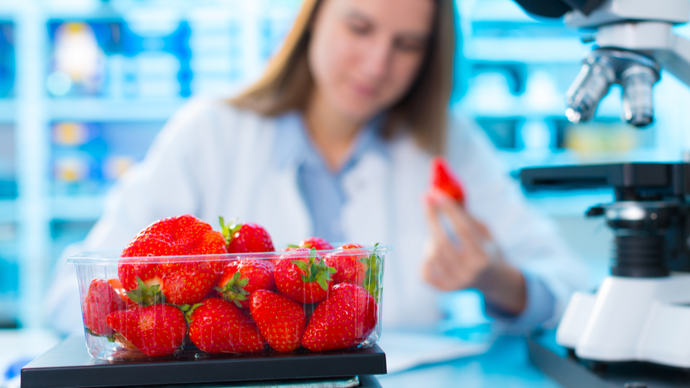 temperature monitoring syste